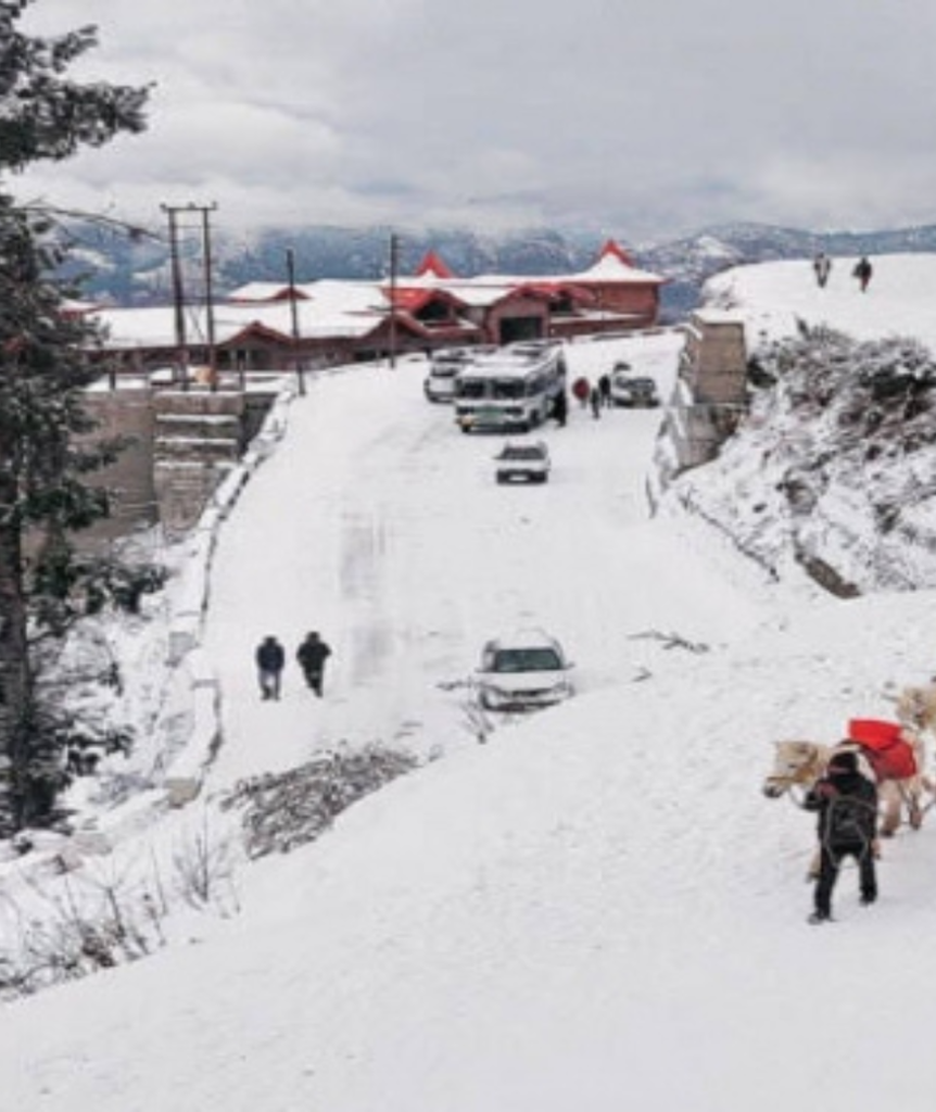 Kufri Shimla