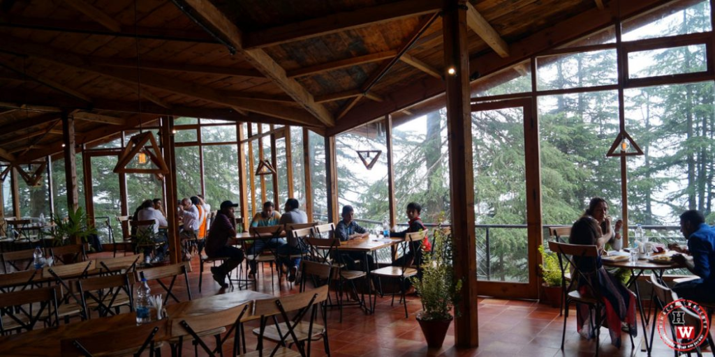 Cafe under Tree
