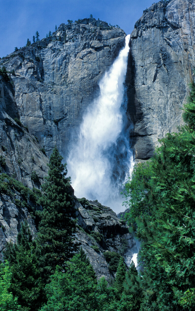 Chadwick Fall